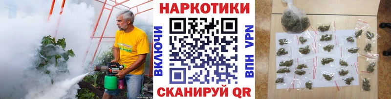 Наркотические вещества Лесной ГАШИШ  Псилоцибиновые грибы  А ПВП  Мефедрон  Бошки Шишки 