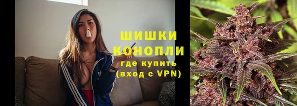 spice Аркадак