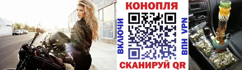 Бошки марихуана индика  Лесной 